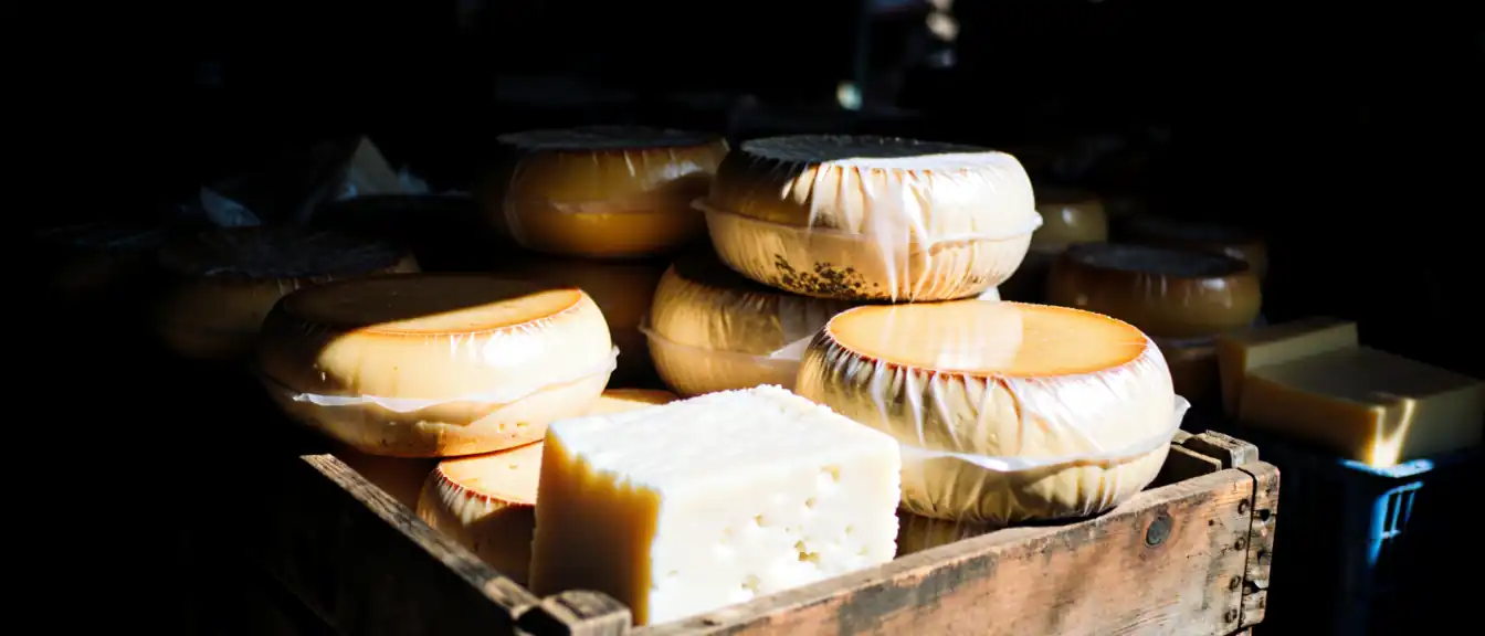Резкий скачок поставок российской молочной продукции в Грузию зафиксирован в августе